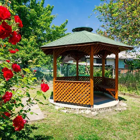 Amaryllis By Interhome *