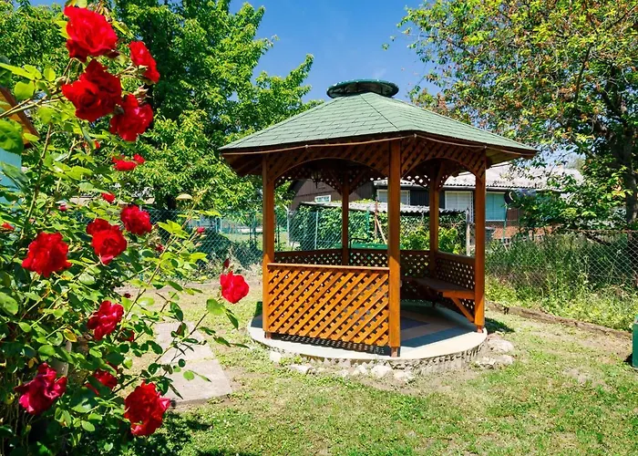 Amaryllis By Interhome *